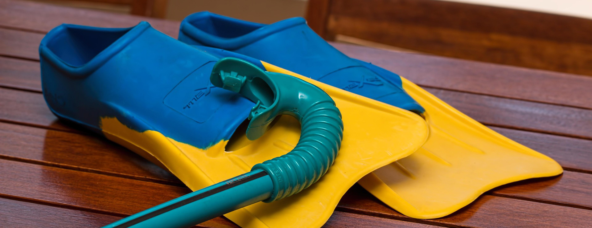 Magasin De Plongée -Magasin De Plongée swimming 1199678 1920